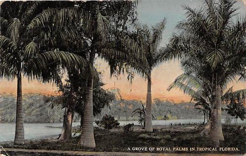 Çeşitli, Florida Kartpostalı