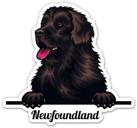 Newfoundland Köpek Sticker-5 laptop etiketi - Su Geçirmez Vinil Araba, Telefon, Su Şişesi-Newfoundland Çıkartması