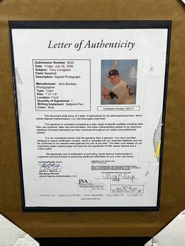 Tony Conigliaro, 14x17 JSA Çerçeveli İmzalı Fotoğraf İmzaladı - MLB İmzalı Fotoğraflar