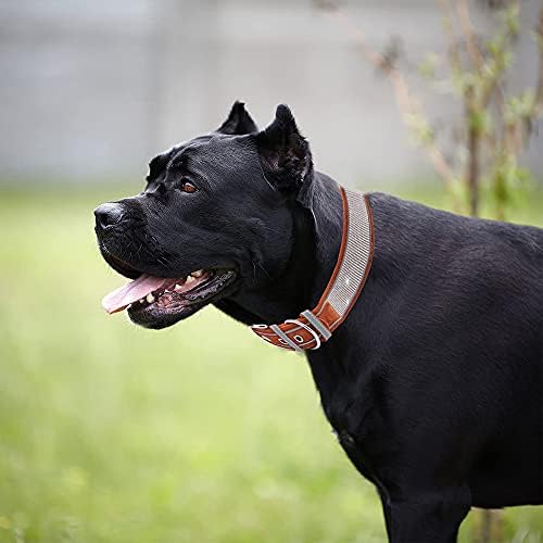 Köpekler Krallık Şık Bling Taklidi Köpek Tasması-Parlak Yansıtıcı Şeritli Yumuşak Rahat Köpek Tasması-Ayarlanabilir