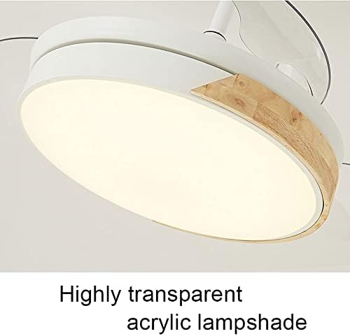 ACLBLK İskandinav Görünmez PC vantilatör pervanesi ile fan ışığı Ev Modern tavan vantilatörü Lamba LED Akrilik Fan